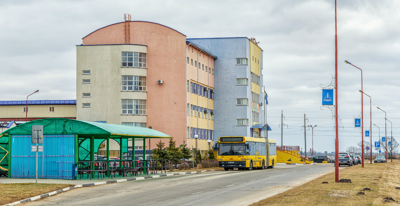 Минская область, МАЗ-105.065 № 012009; Минская область — Разные фотографии