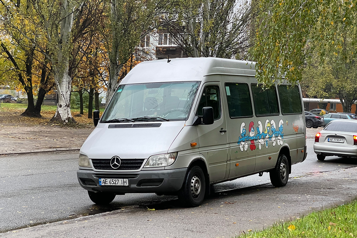 Днепропетровская область, Mercedes-Benz Sprinter W903 313CDI № AE 6527 IH