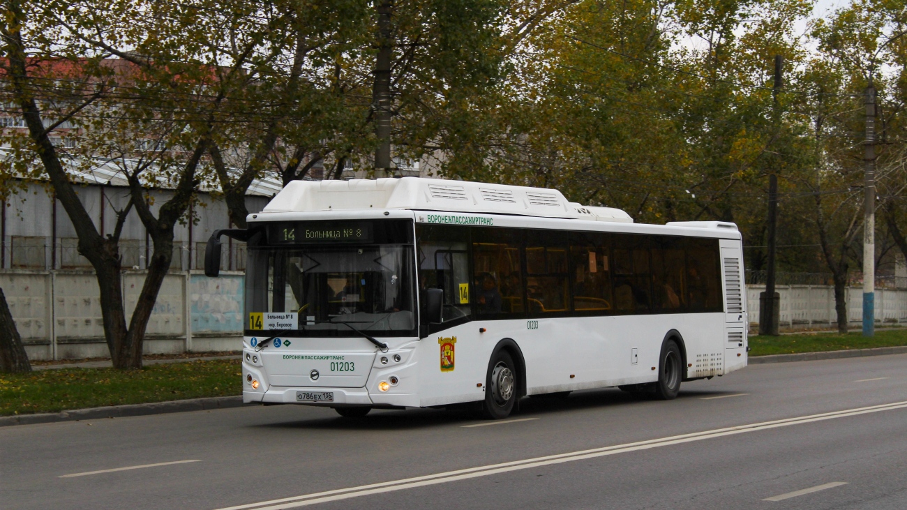 Воронежская область, ЛиАЗ-5292.67 (CNG) № 01203