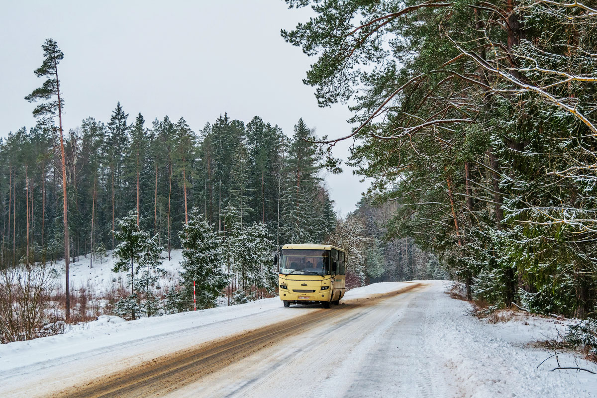 Vitebsk region, MAZ-256.200 # 100742