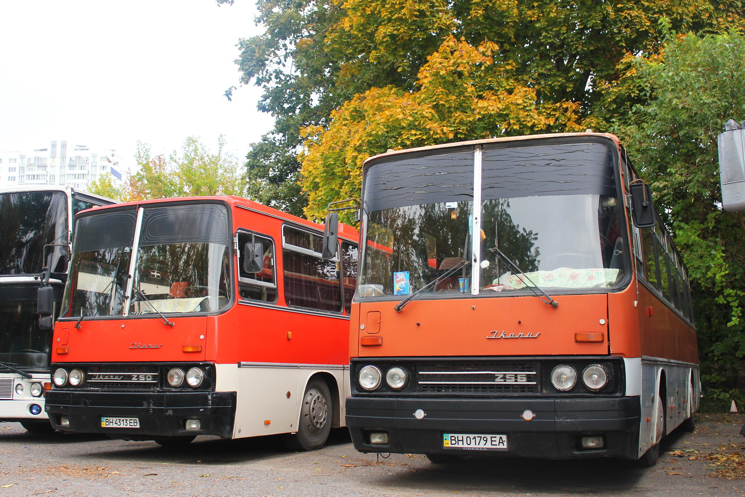 Одесская область, Ikarus 256.75 № BH 0179 EA