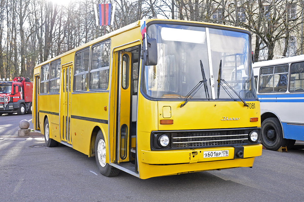 Санкт-Петербург, Ikarus 260.37 № 7081