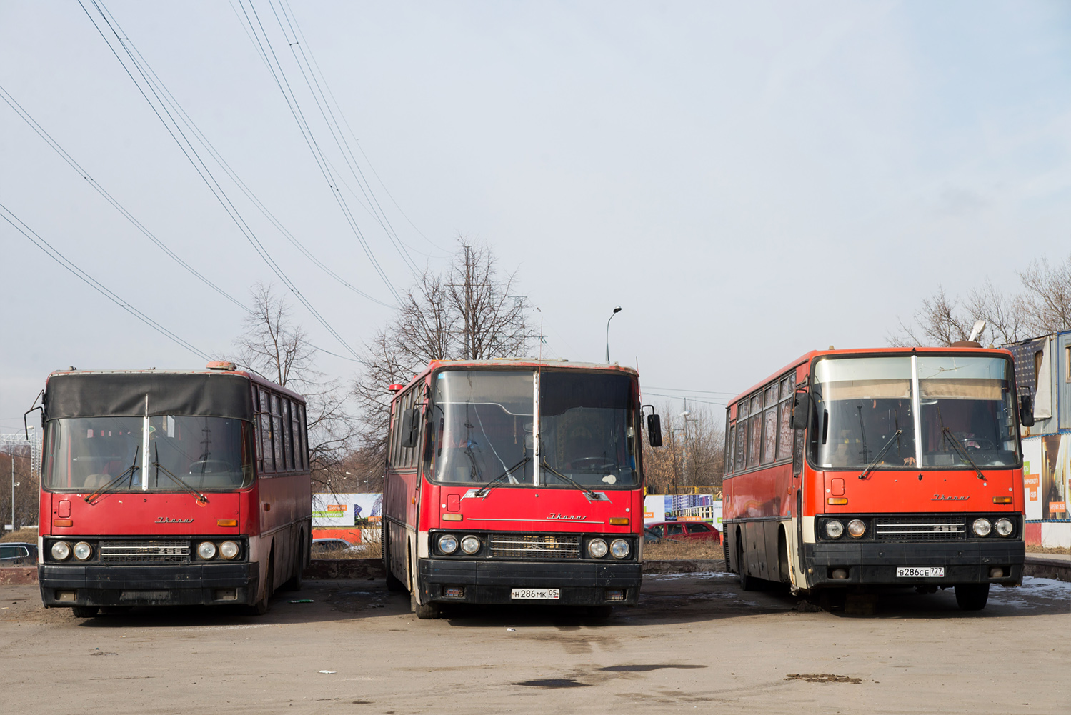 Московская область, Ikarus 256.54 № А 596 ОН 05; Дагестан, Ikarus 250 № Н 286 МК 05; Москва, Ikarus 256.74 № В 286 СЕ 777