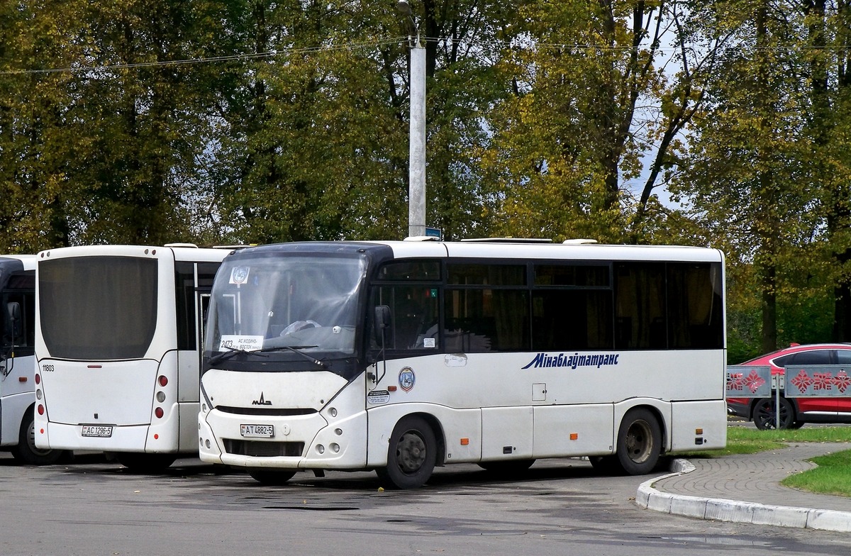 Минская область, МАЗ-241.030 № 11732