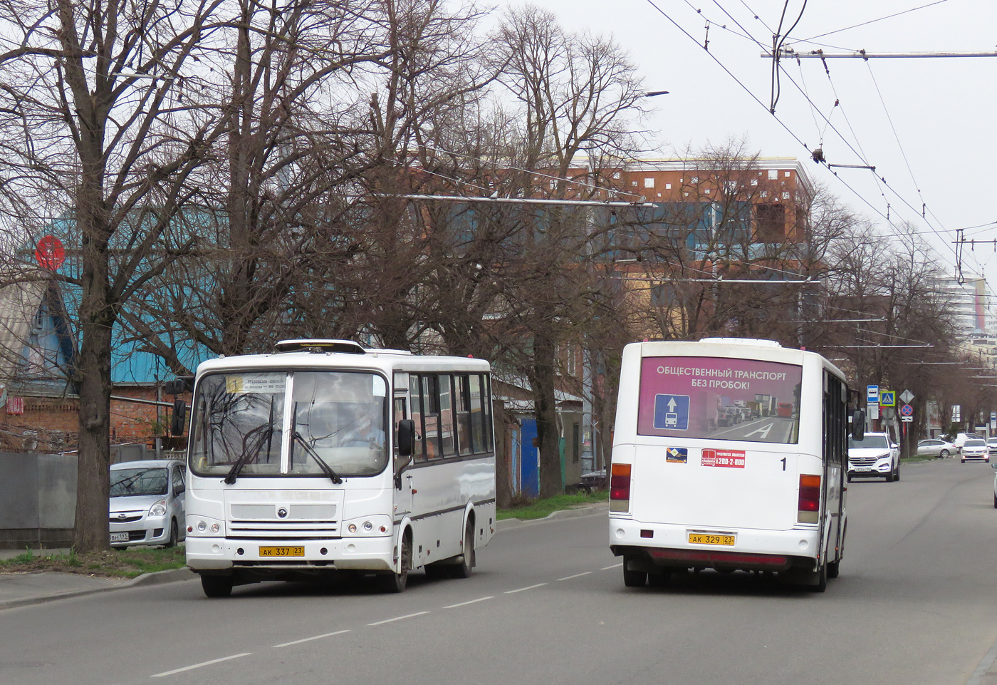 Краснодарский край, ПАЗ-320412-10 № АК 337 23; Краснодарский край, ПАЗ-320412-10 № АК 329 23