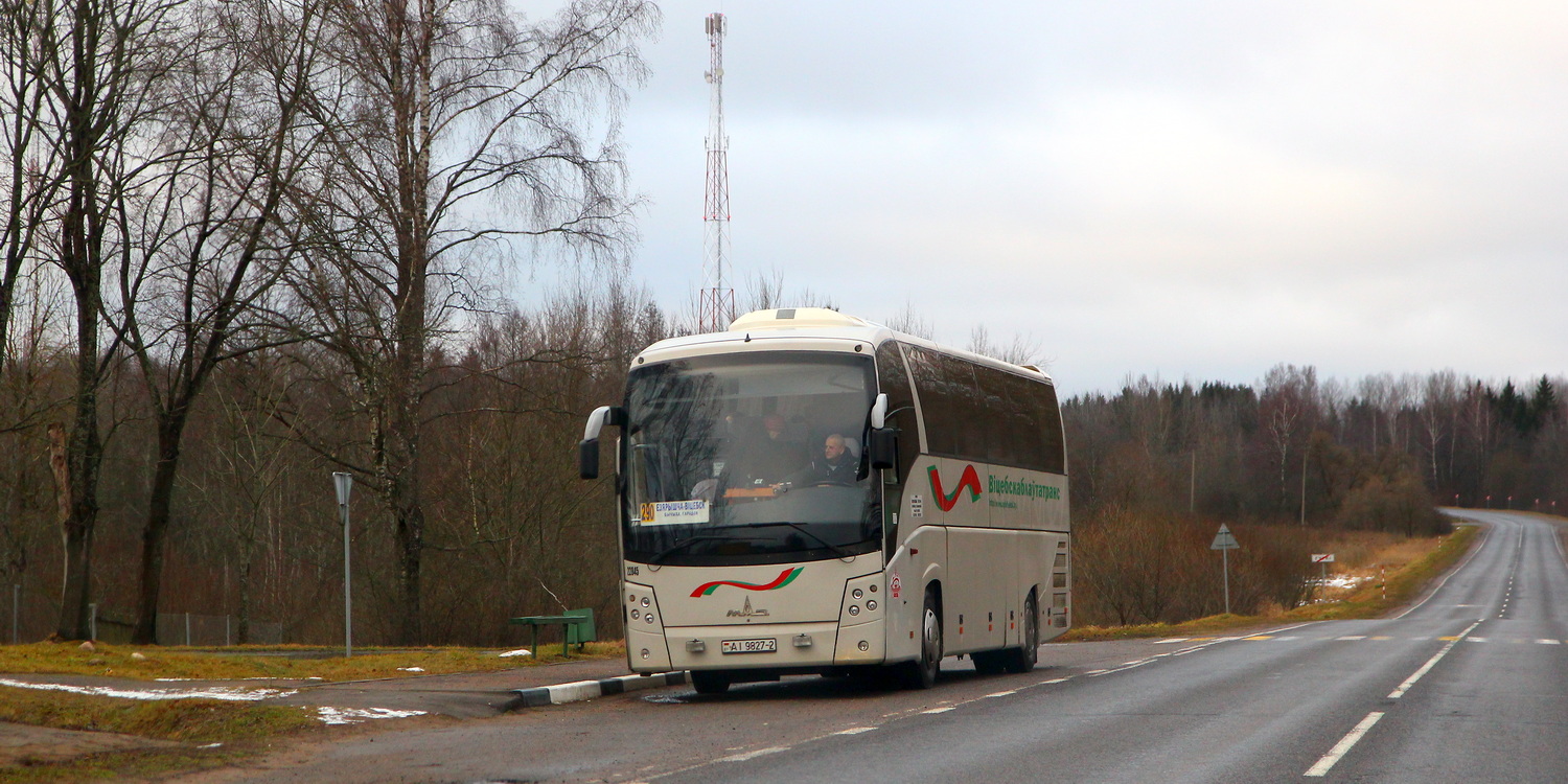 Vitebsk region, MAZ-251.062 № 022845