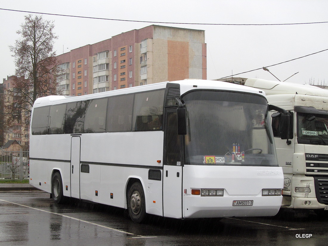 Гомельская область, Neoplan N316SHD Transliner № АМ 6031-3