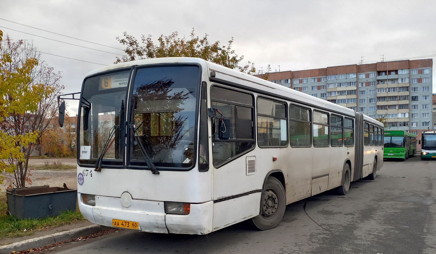 Псковская область, Mercedes-Benz O345G № 674