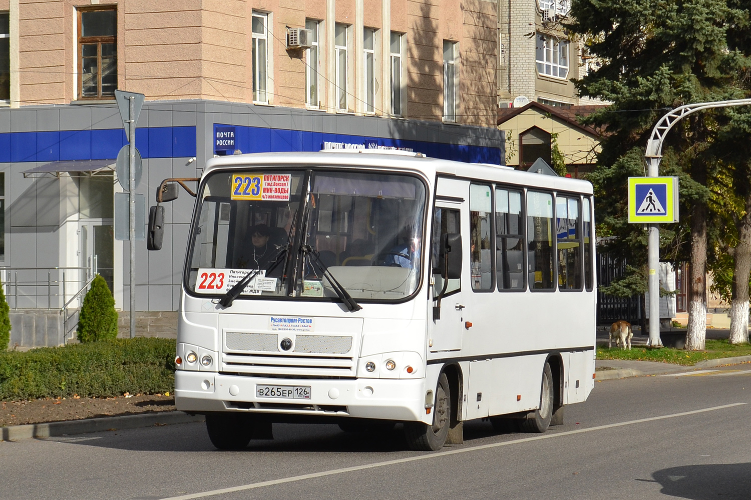 Ставропольский край, ПАЗ-320302-11 № В 265 ЕР 126