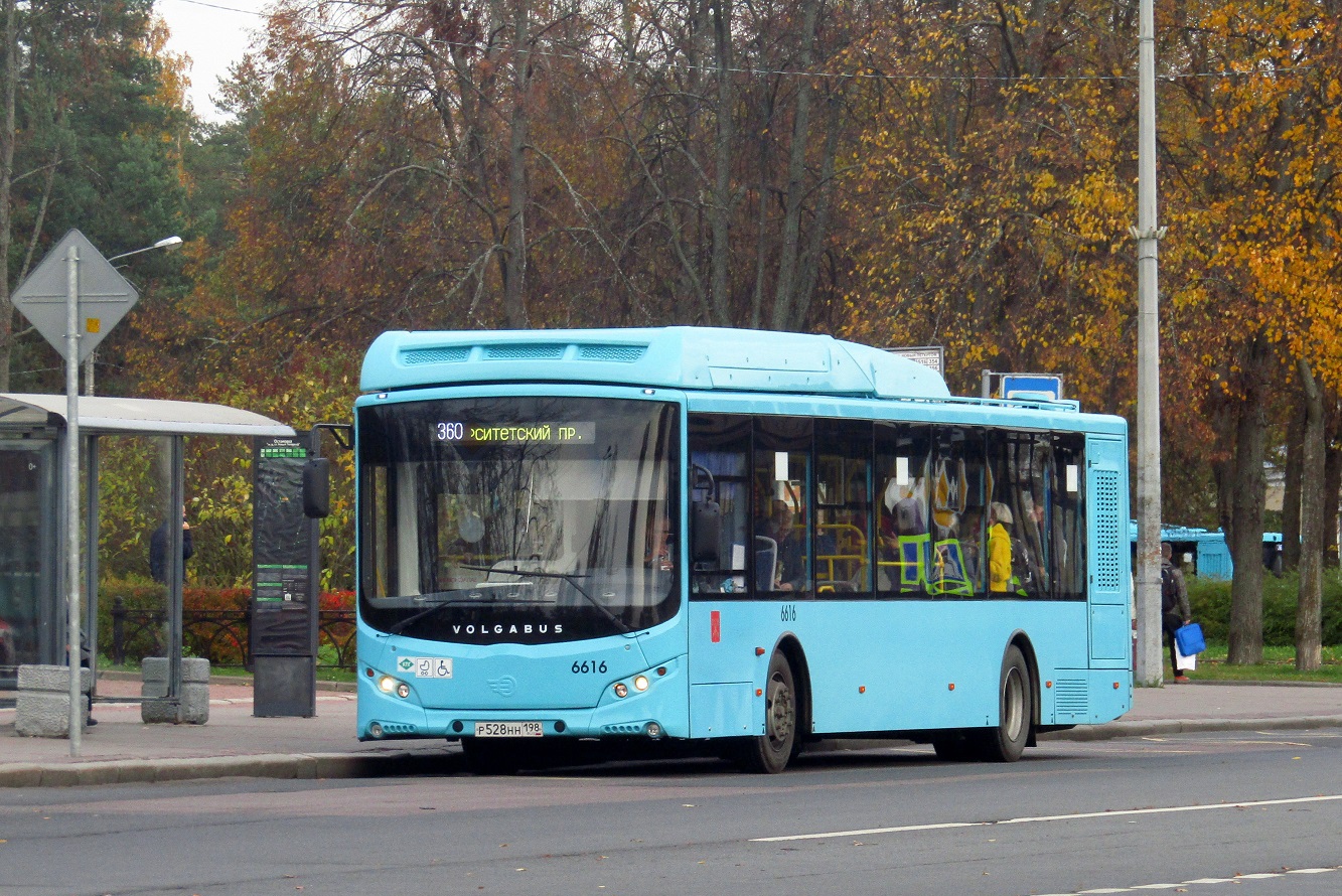 Санкт-Петербург, Volgabus-5270.G4 (CNG) № 6616