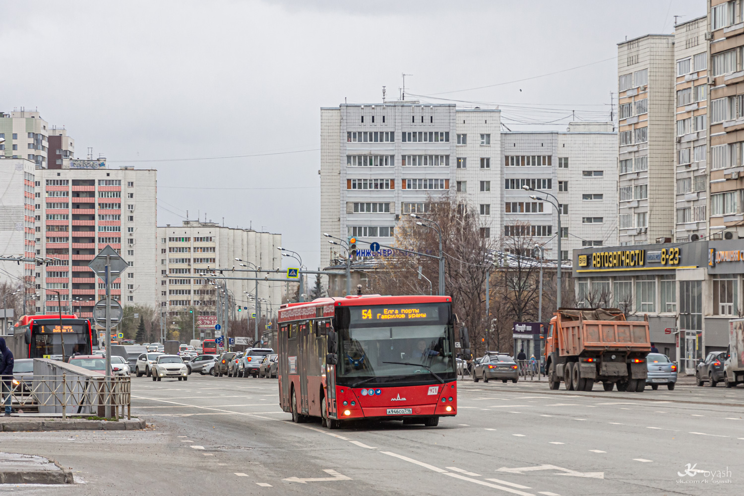 Татарстан, МАЗ-203.069 № 971