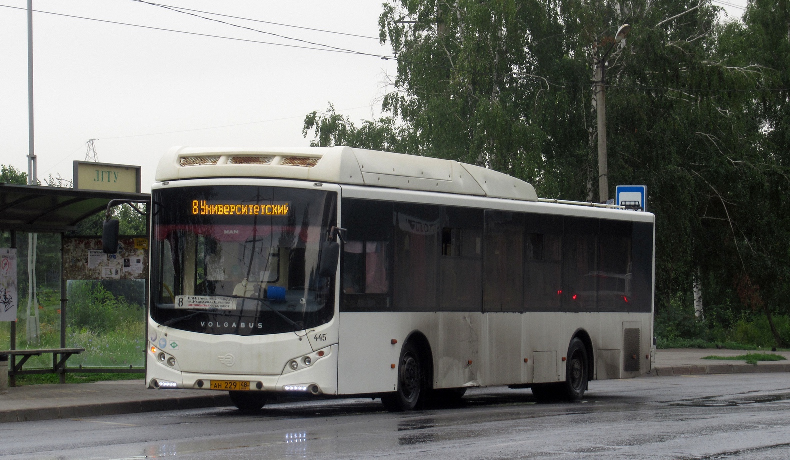 Липецкая область, Volgabus-5270.G2 (CNG) № 445