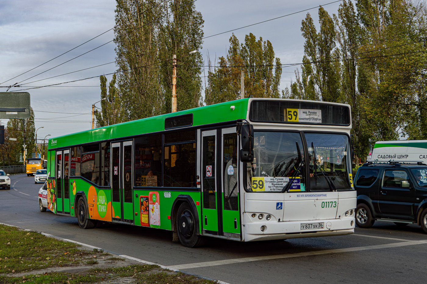 Воронежская область, МАЗ-103.469 № 01173