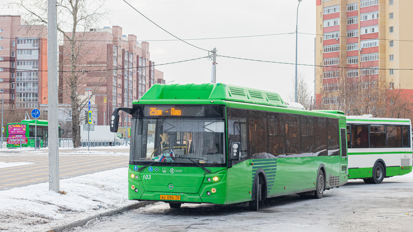 Тюменская область, ЛиАЗ-5292.67 (CNG) № 103