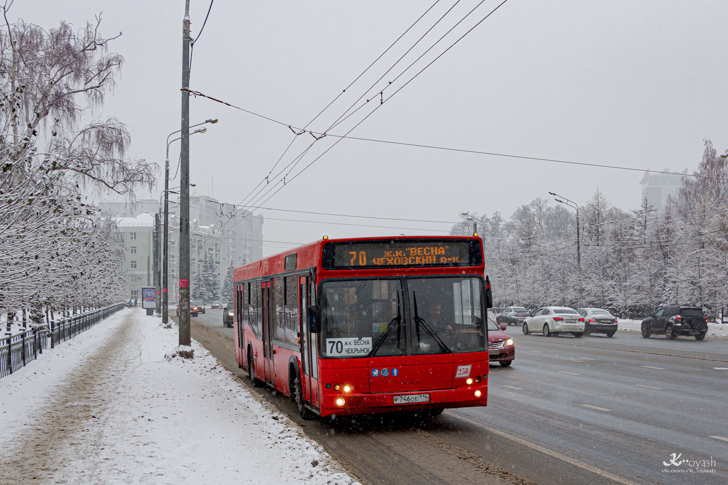 Татарстан, МАЗ-103.465 № 258