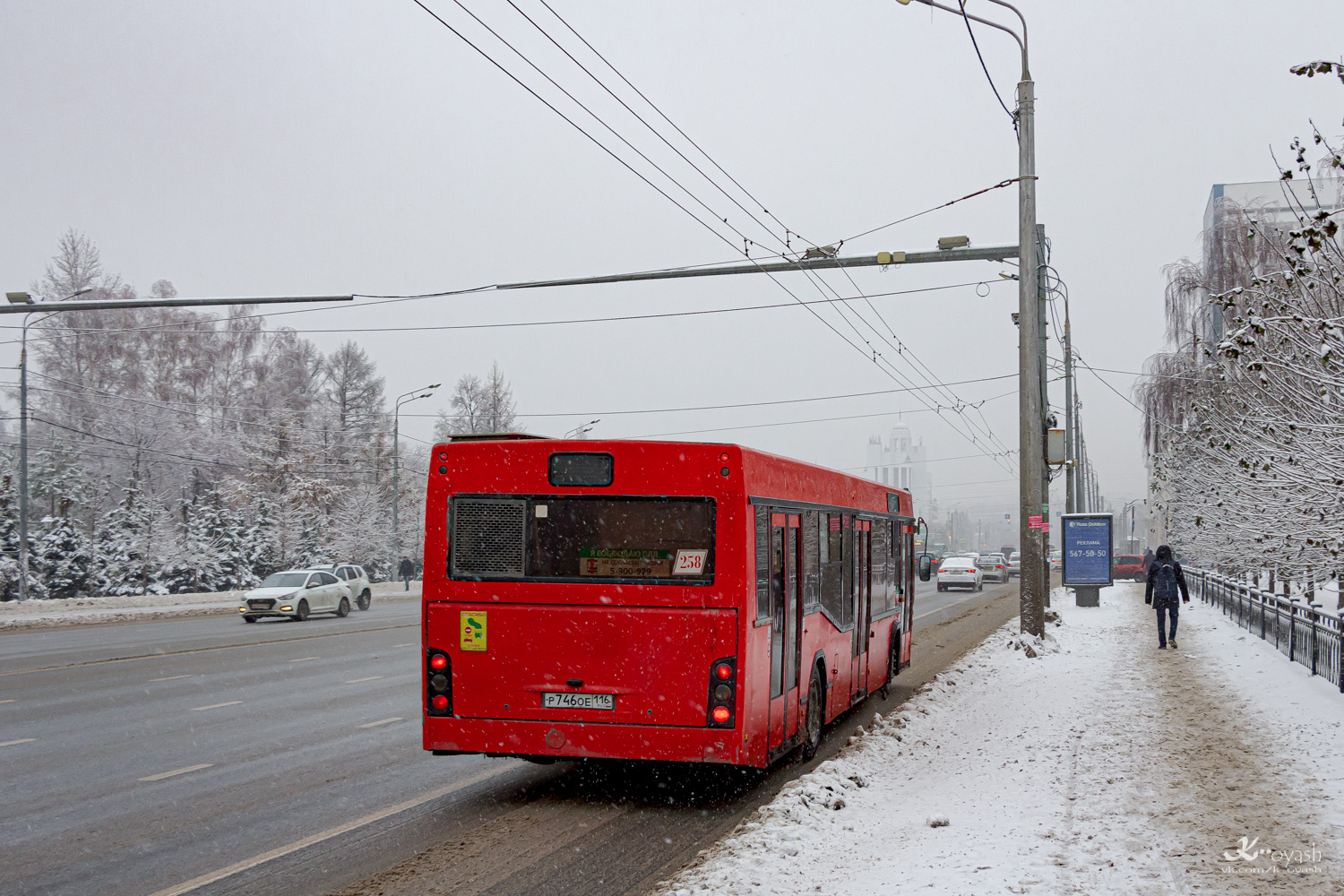 Татарстан, МАЗ-103.465 № 258