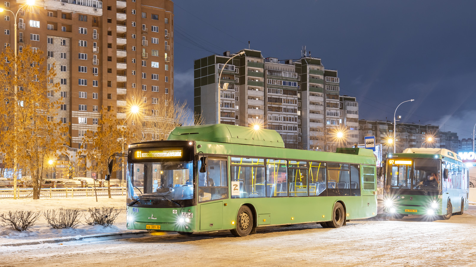 Свердловская область, МАЗ-203.L65 № 1747