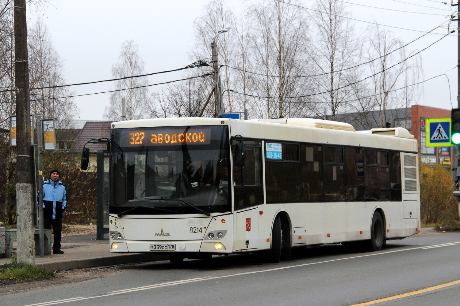 Санкт-Петербург, МАЗ-203.085 № 8214