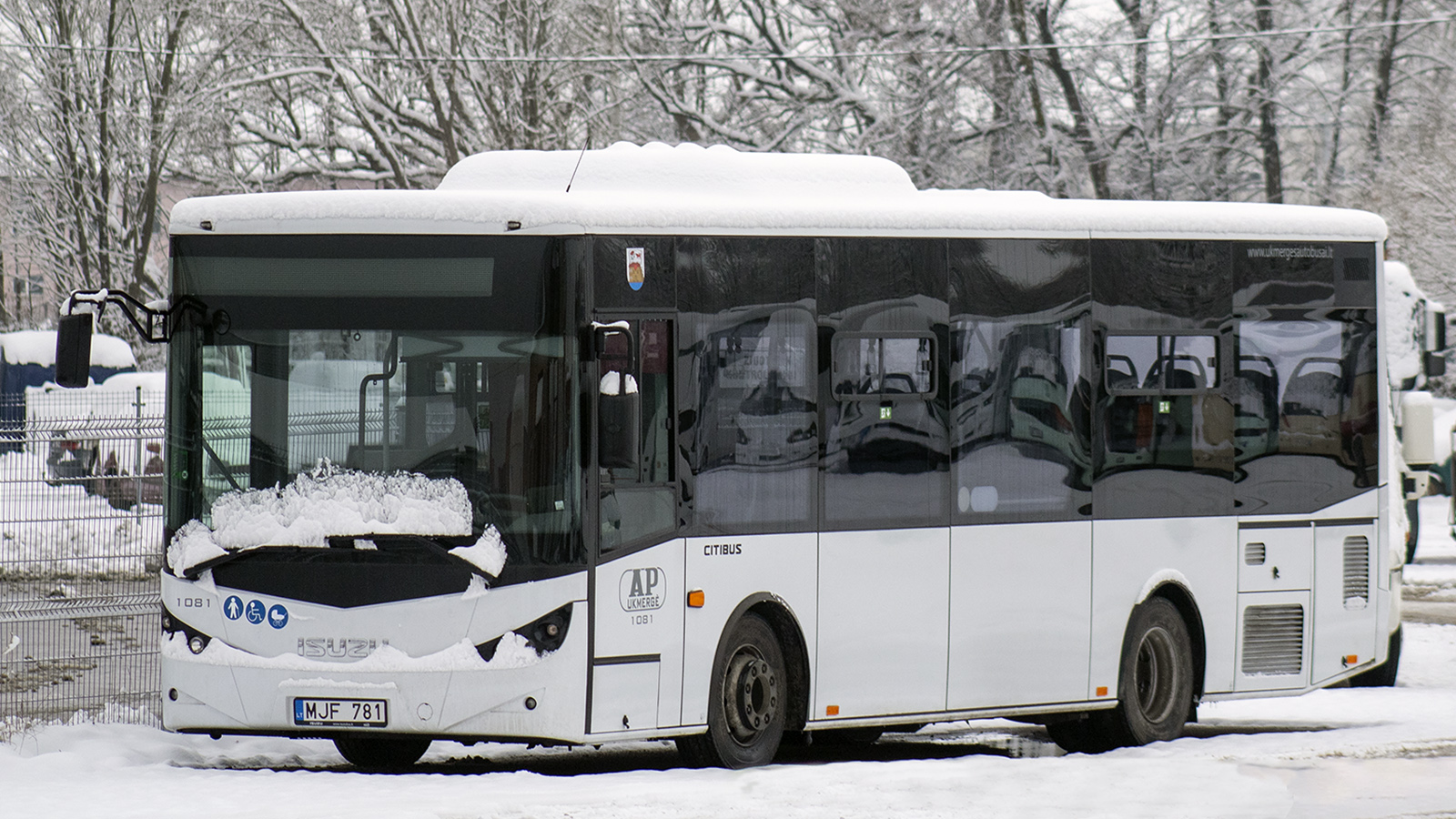 Литва, Anadolu Isuzu Citibus (Yeni) № 1081