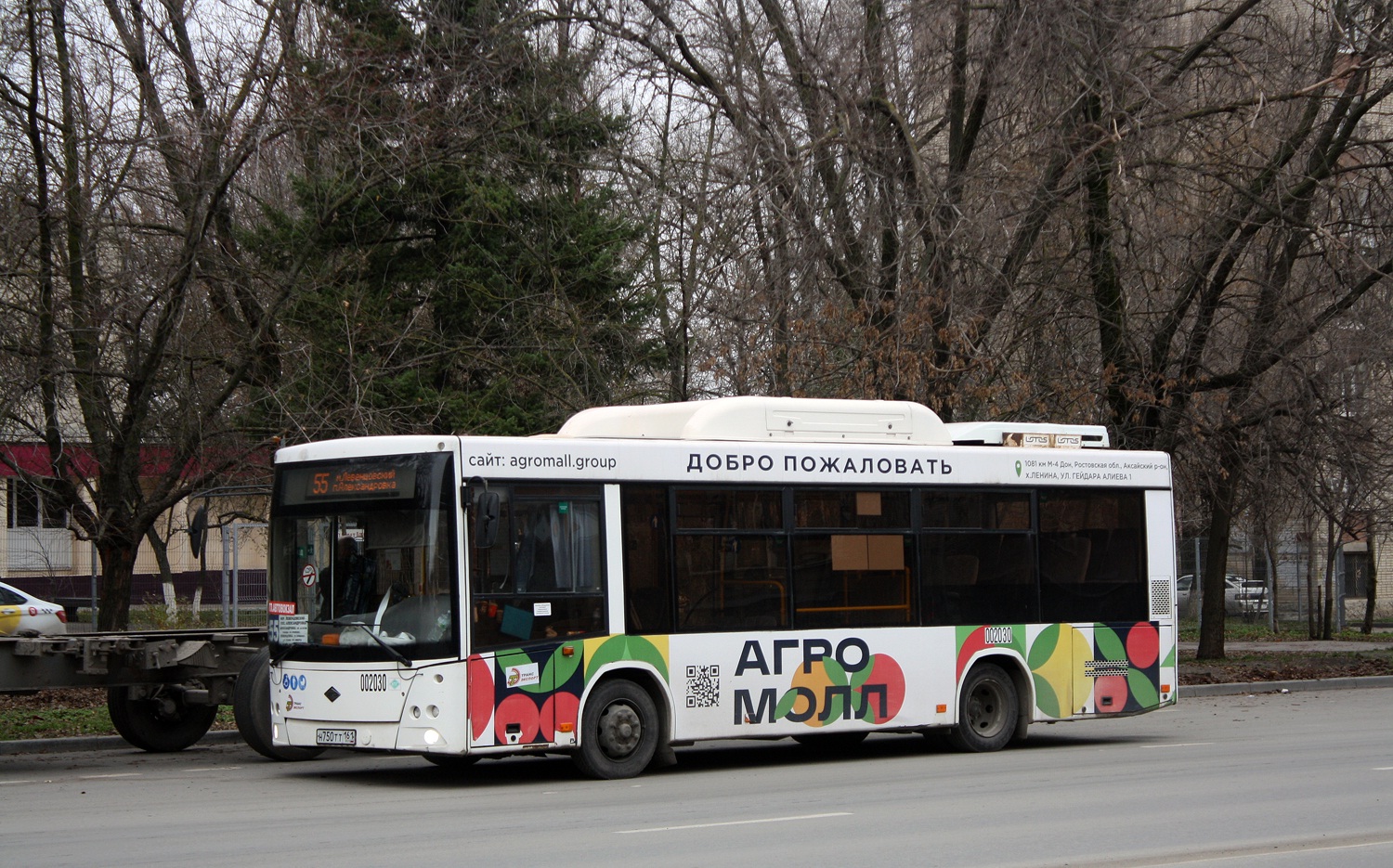 Rostov region, Lotos-206 # 002030