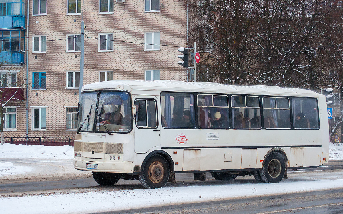 Витебская область, ПАЗ-Р 4234 № 100878