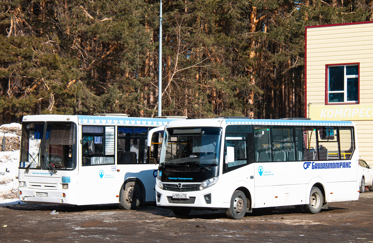 Башкортостан, ПАЗ-320435-04 "Vector Next" № 6191