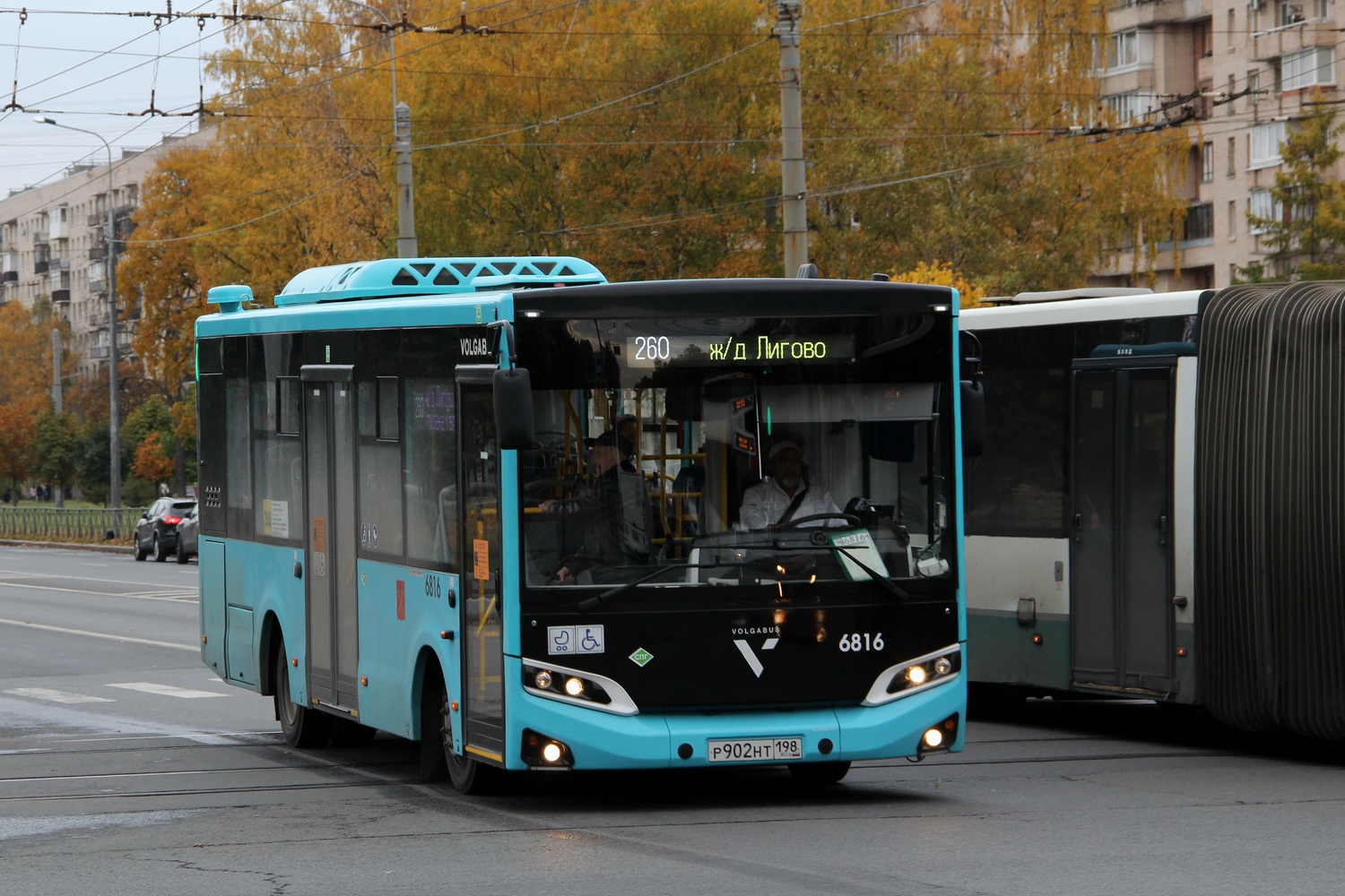 Санкт-Петербург, Volgabus-4298.G4 (LNG) № 6816