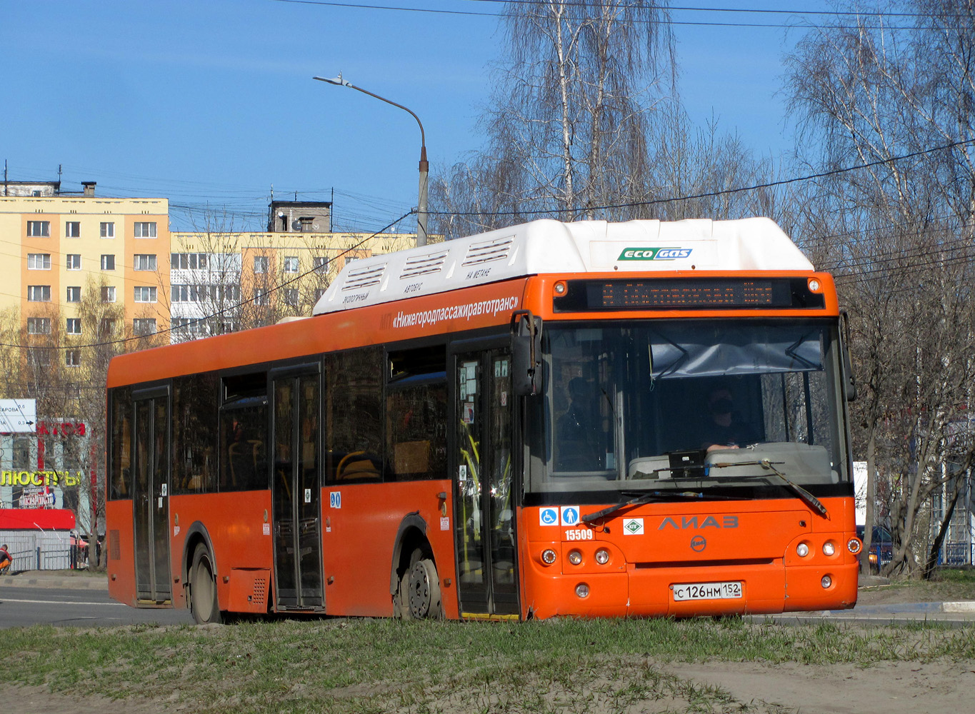 Нижегородская область, ЛиАЗ-5292.67 (CNG) № 15509