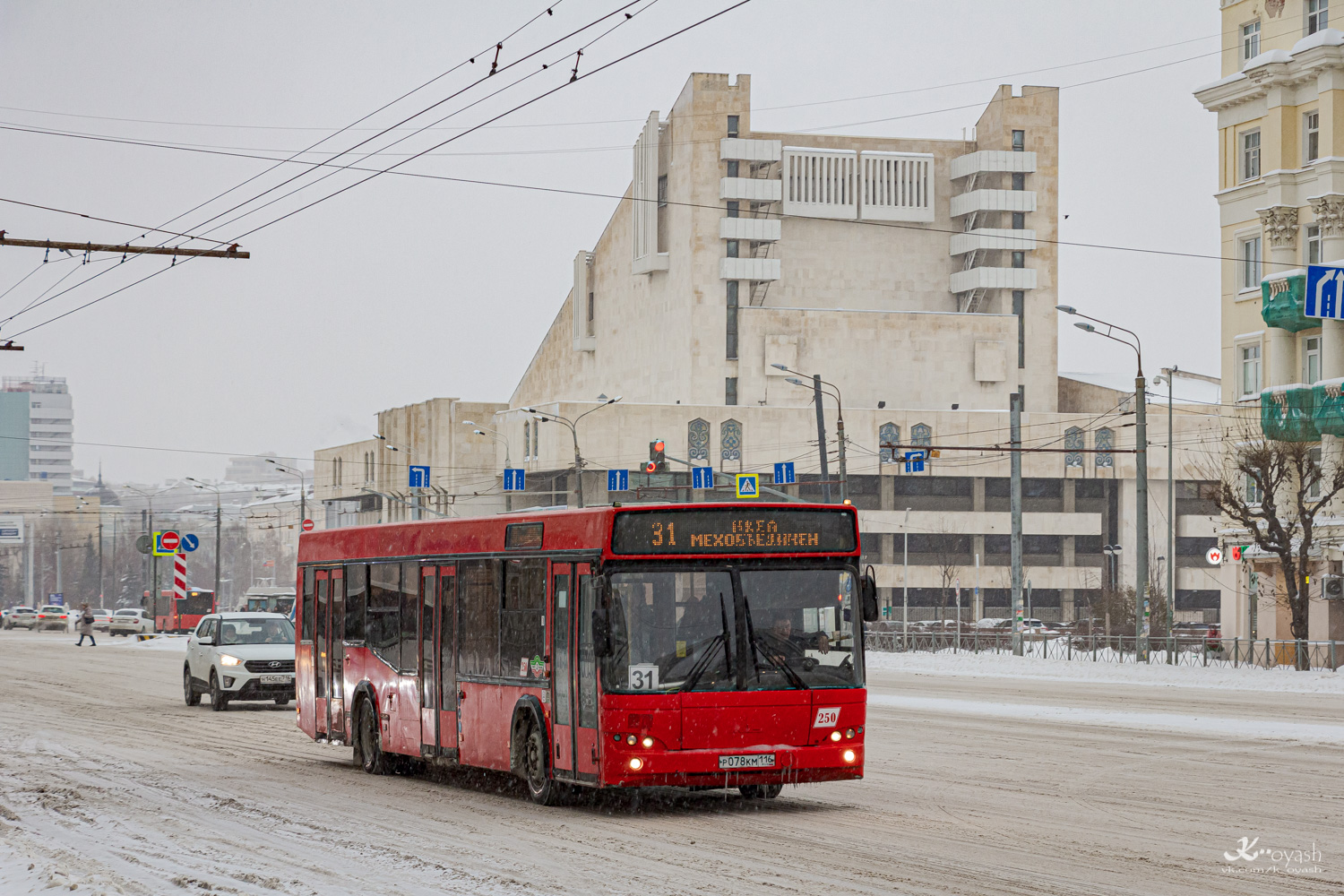 Татарстан, МАЗ-103.465 № 250