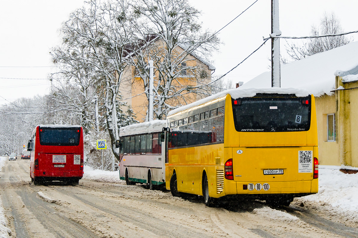 Калининградская область, Mercedes-Benz Intouro II E № С 600 ОР 39