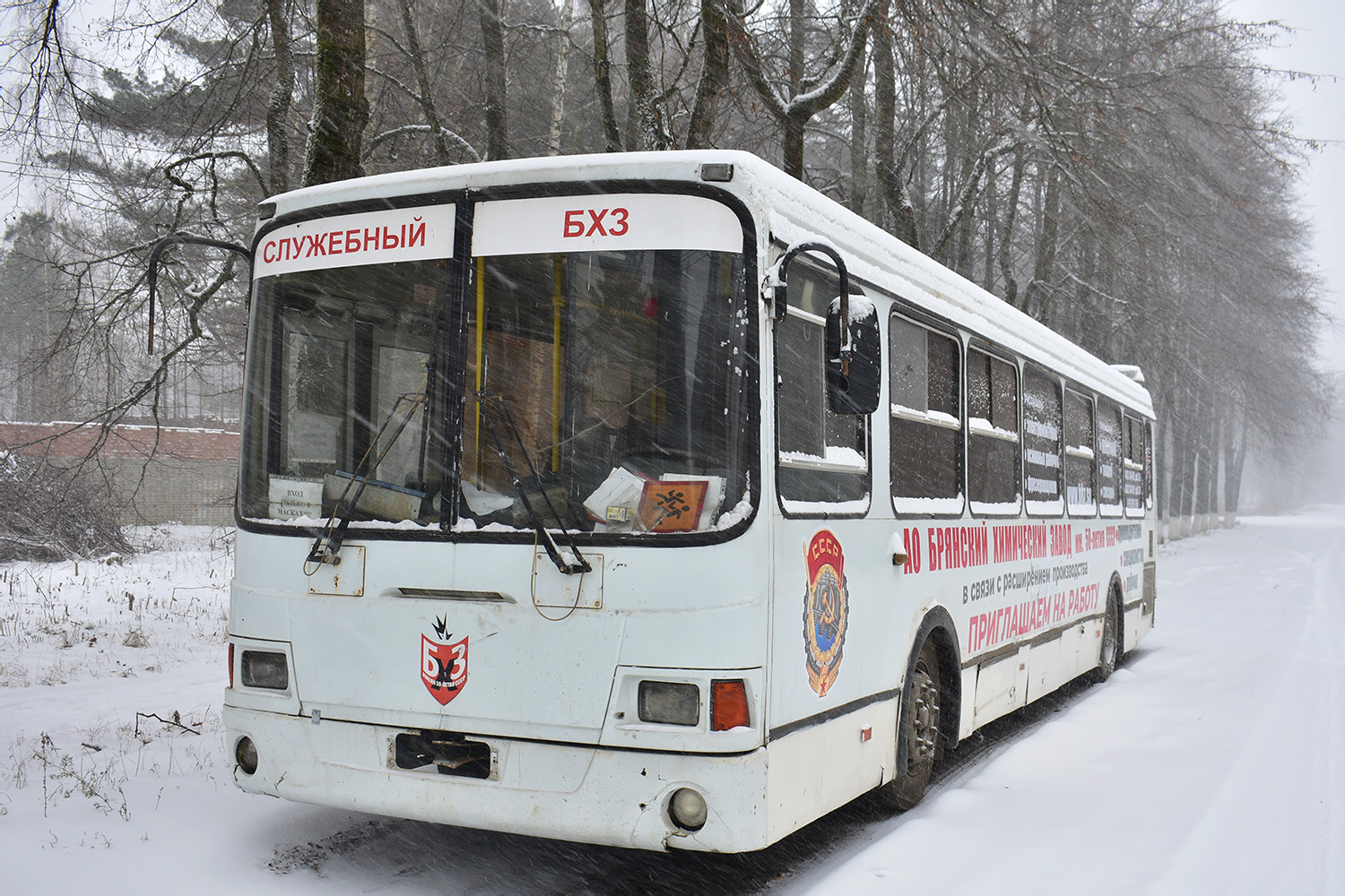 Bryansk region, LiAZ-5256.36-01 Nr. 59201