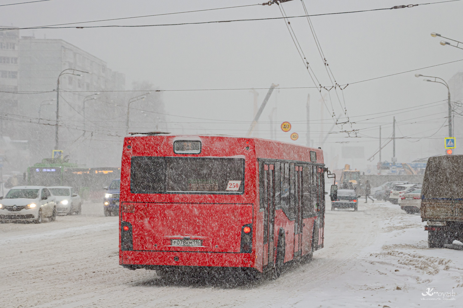 Татарстан, МАЗ-103.465 № 250