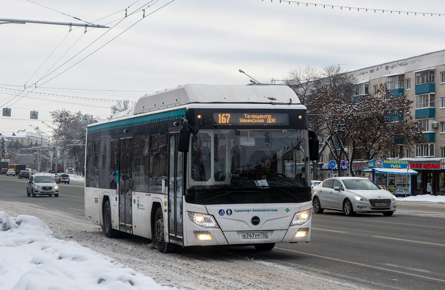 Башкортостан, Lotos-105C02 № Е 747 УР 702