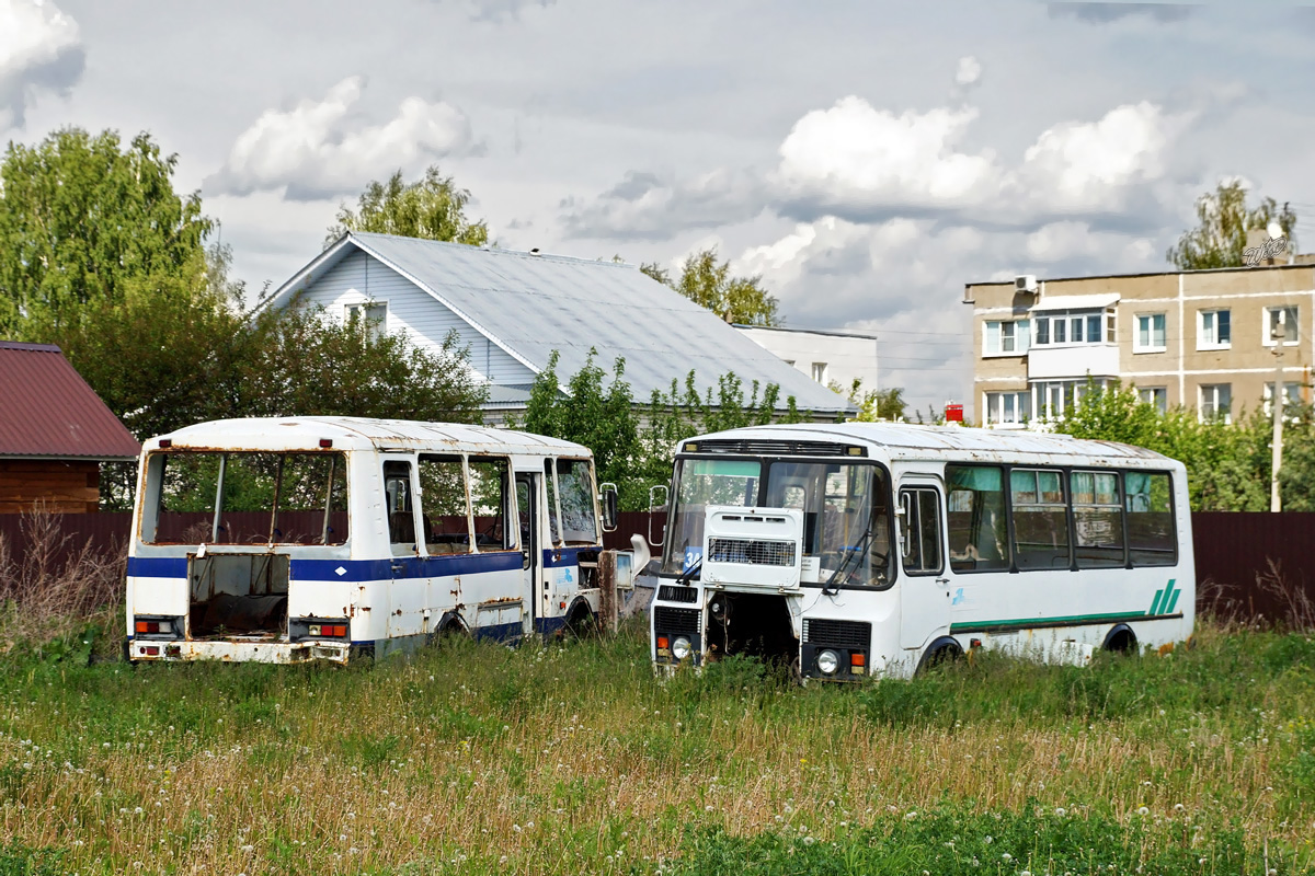 Нижегородская область, ПАЗ-3205-110 № К 191 ЕМ 52; Нижегородская область, ПАЗ-3205-110 № М 755 СК 52