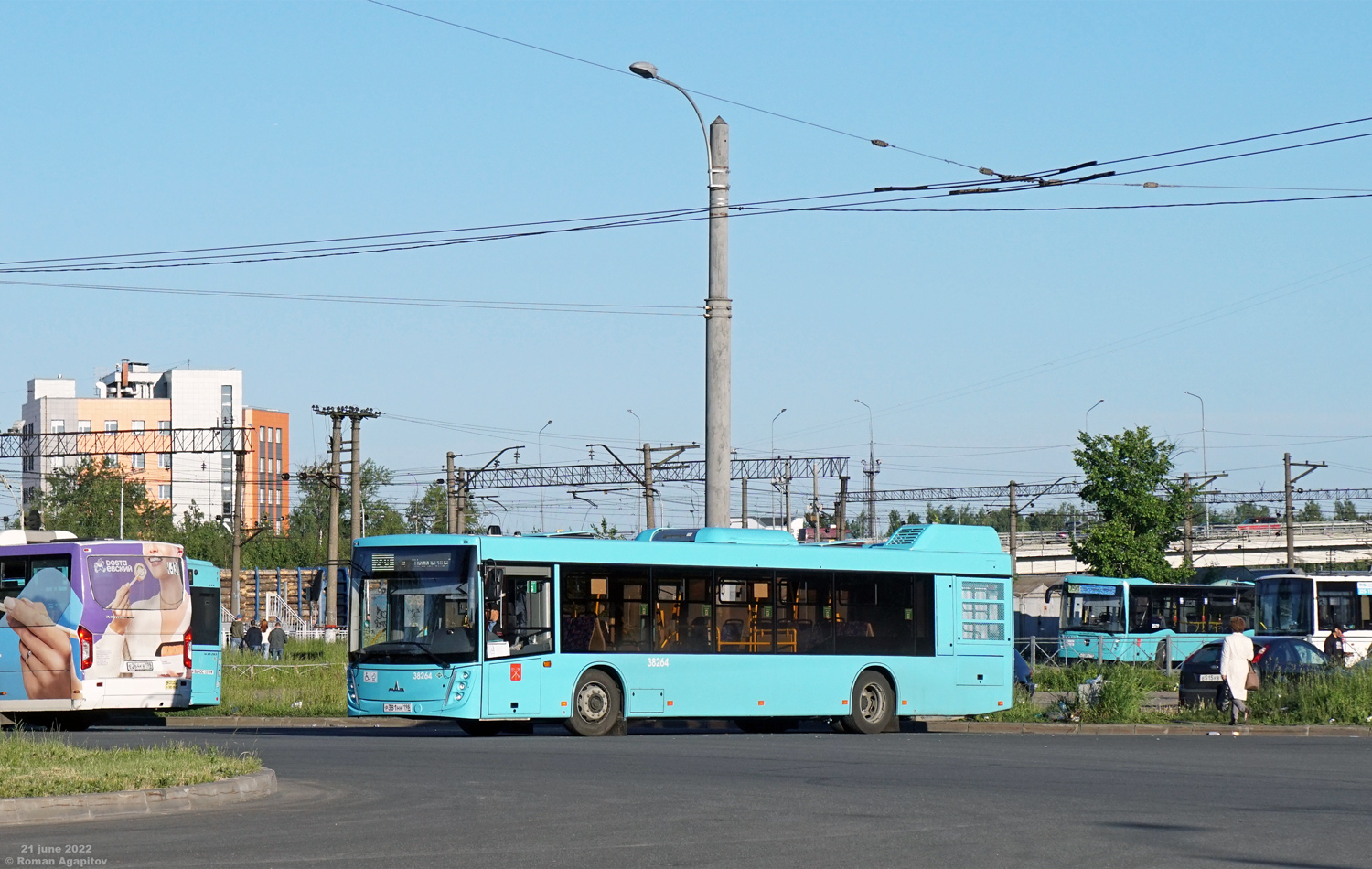 Санкт-Петербург, ПАЗ-320435-04 "Vector Next" № Е 264 КВ 198; Санкт-Петербург, МАЗ-203.945 № 38264