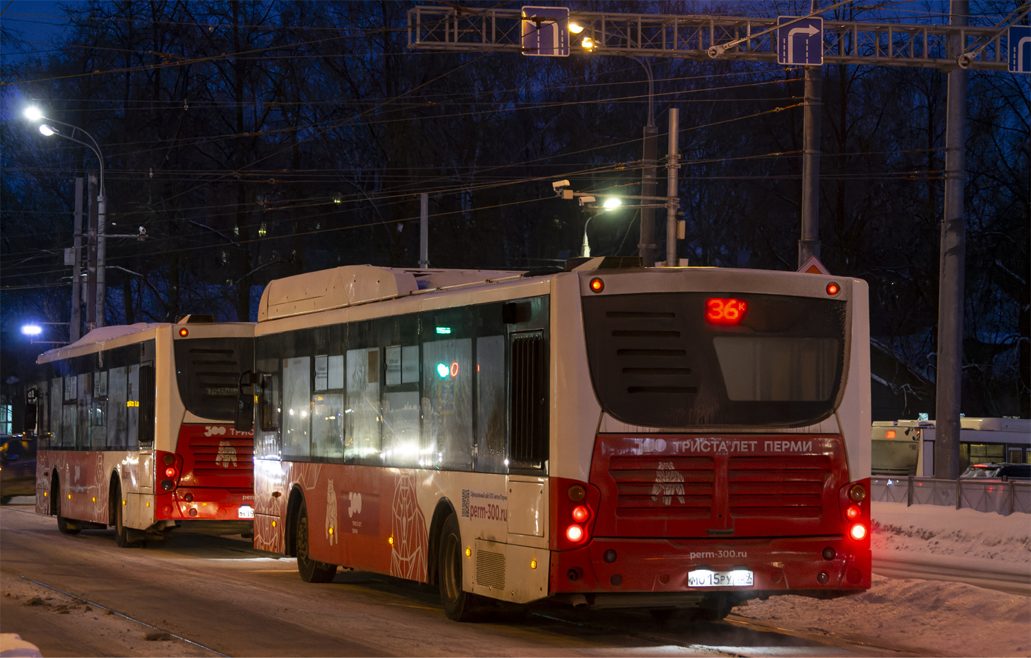 Пермский край, Volgabus-5270.G2 (CNG) № М 015 РУ 159