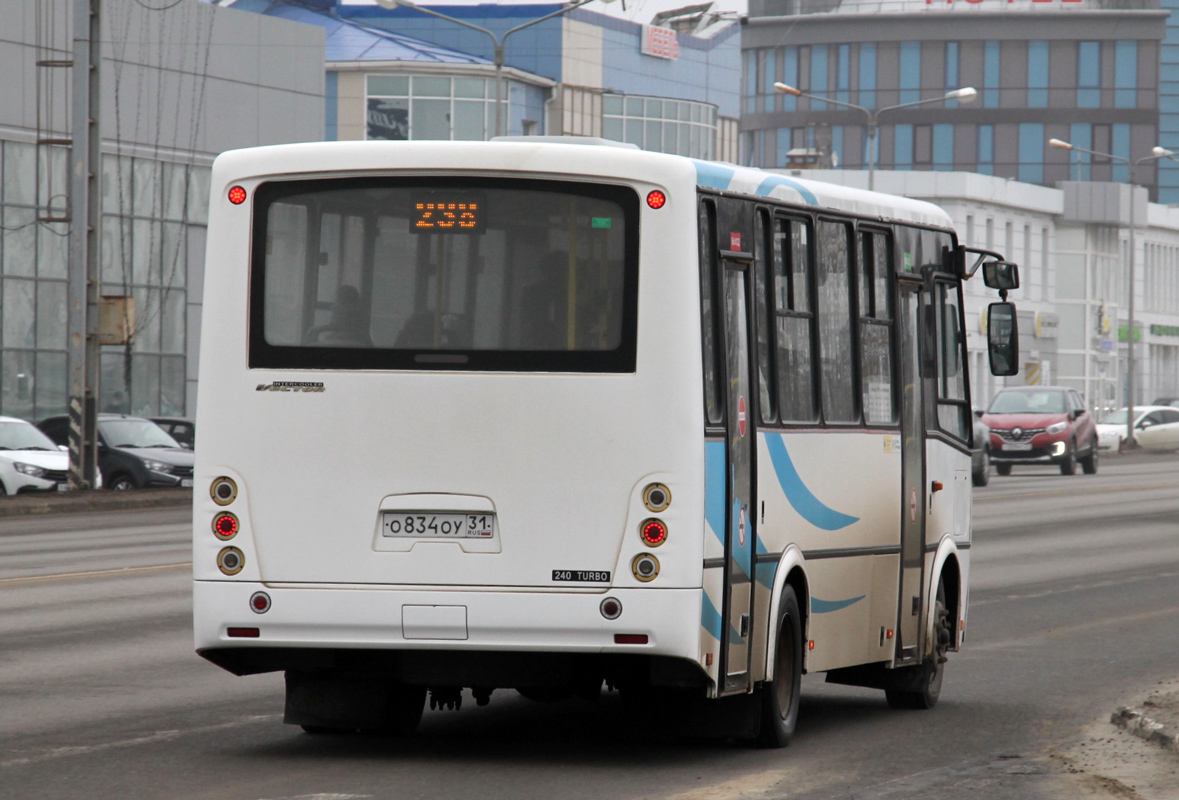 Белгородская область, ПАЗ-320412-04 "Вектор" № О 834 ОУ 31