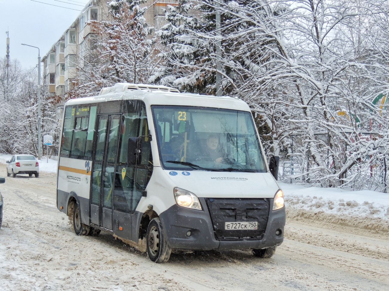 Московская область, Луидор-2250DS (ГАЗ Next) № 3229