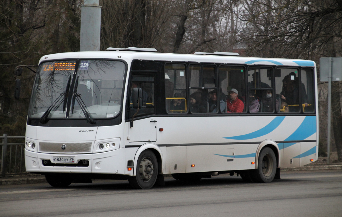 Белгородская область, ПАЗ-320412-04 "Вектор" № О 834 ОУ 31