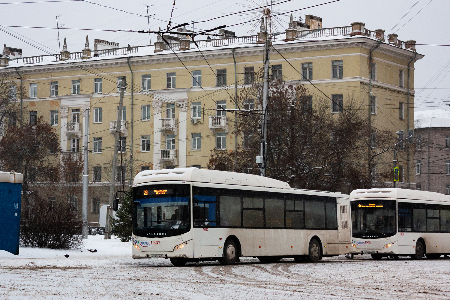 Вологодская область, Volgabus-5270.G4 (CNG) № 5027