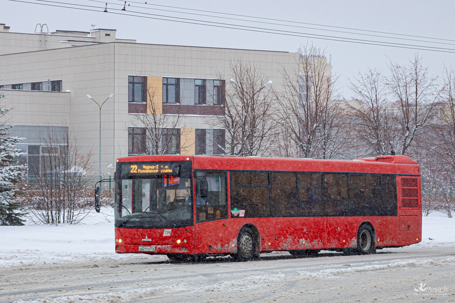 Татарстан, МАЗ-203.069 № 739