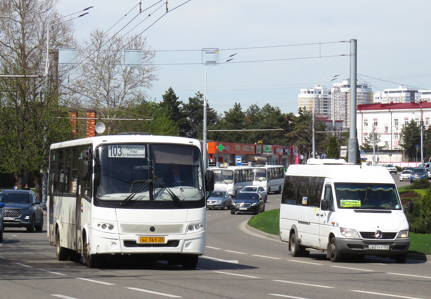 Краснодарский край, ПАЗ-320412-04 "Вектор" № АК 761 23; Краснодарский край, Луидор-223203 (MB Sprinter Classic) № С 601 ТТ 123