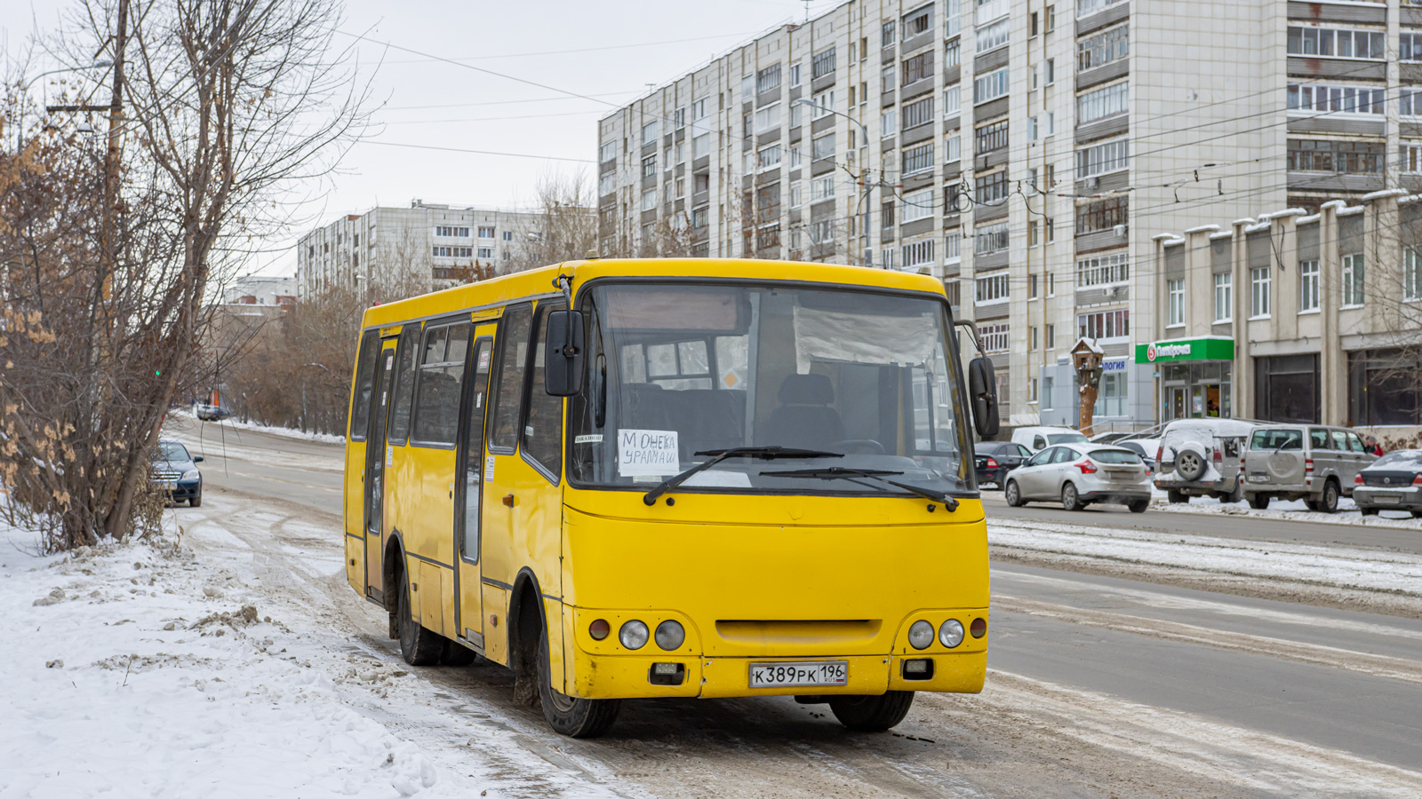 Свердловская область, Богдан А09204 № К 389 РК 196