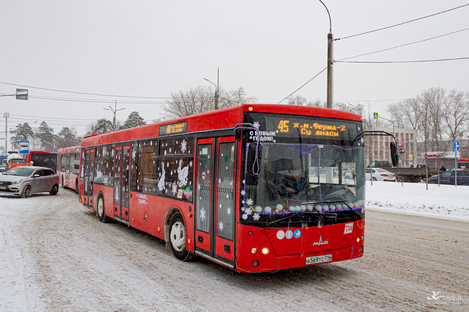 Татарстан, МАЗ-203.069 № 734