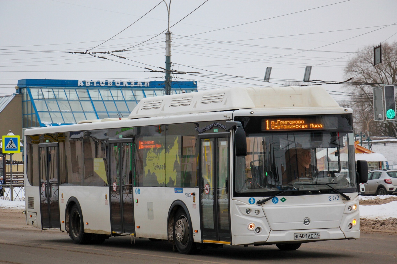 Новгородская область, ЛиАЗ-5292.67 (CNG) № 203