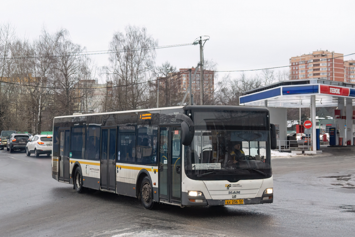 Московская область, MAN A21 Lion's City NL273 № 105236