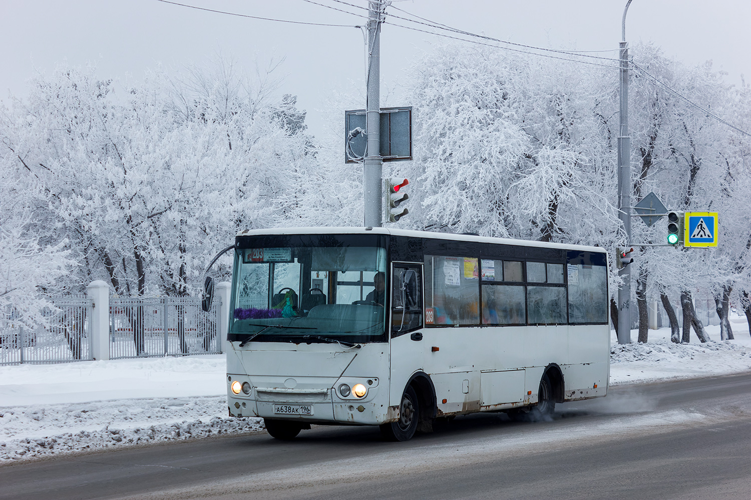 Свердловская область, Богдан А20111 № А 638 АК 196