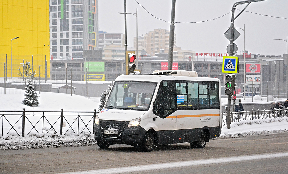 Московская область, Луидор-2250DS (ГАЗ Next) № С 559 РМ 750