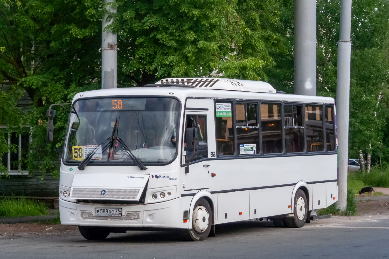 Ярославская область, ПАЗ-320412-14 "Вектор" № 858