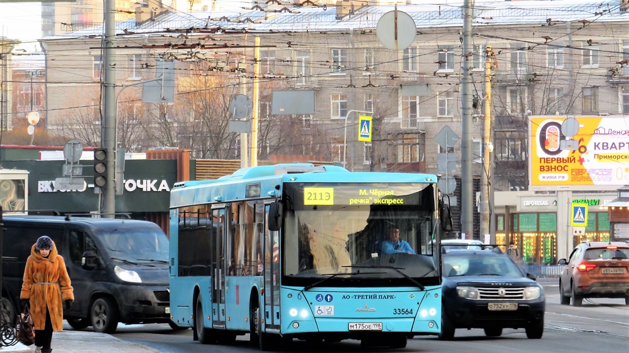 Санкт-Петербург, МАЗ-203.C45 № 33564